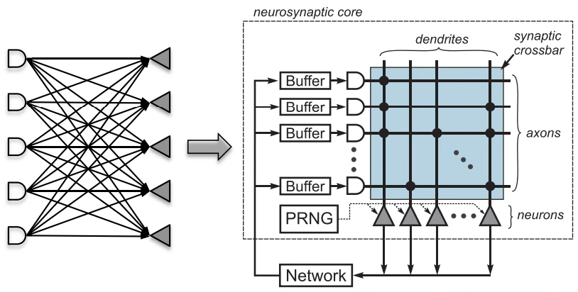 A fully-connected neural network (left) and its logical representation in the TrueNorth chip (right).