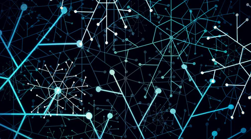 Diverse and United: Neuromorphic Open Source Leaders Form ONM Collaboration Network