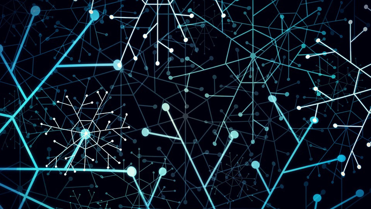 Diverse and United: Neuromorphic Open Source Leaders Form ONM Collaboration Network