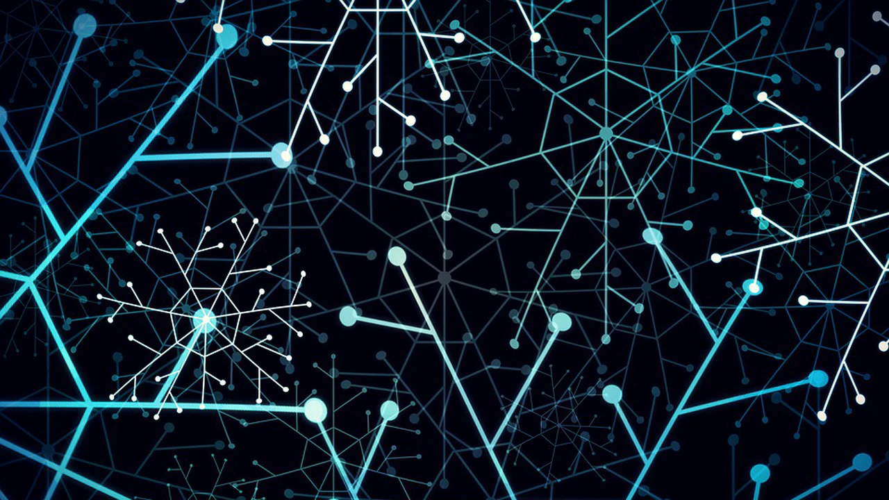 Diverse and United: Neuromorphic Open Source Leaders Form ONM Collaboration Network