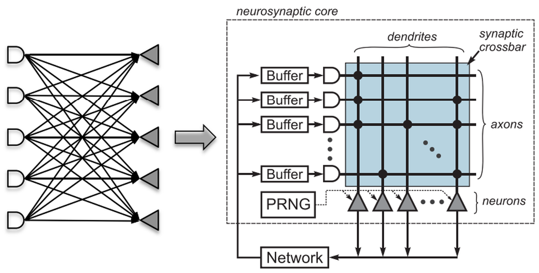 A fully-connected neural network (left) and its logical representation in the TrueNorth chip (right).