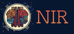 NIRTorch logo