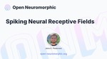 Spiking Neural Receptive Fields