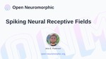 Spiking Neural Receptive Fields