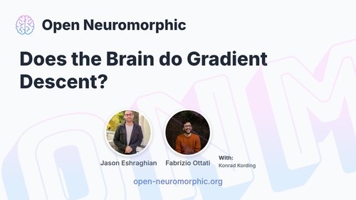 Does the Brain do Gradient Descent?