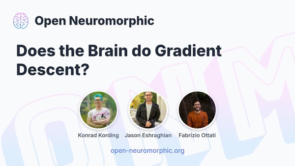 Social share preview for Does the Brain do Gradient Descent?