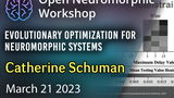 Evolutionary Optimization for Neuromorphic Systems