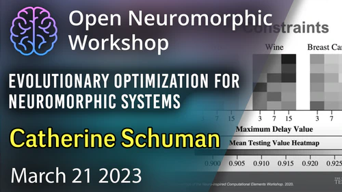 Evolutionary Optimization for Neuromorphic Systems