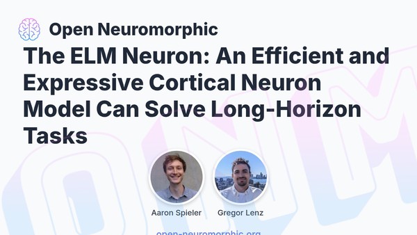 Social share preview for The ELM Neuron: An Efficient and Expressive Cortical Neuron Model Can Solve Long-Horizon Tasks